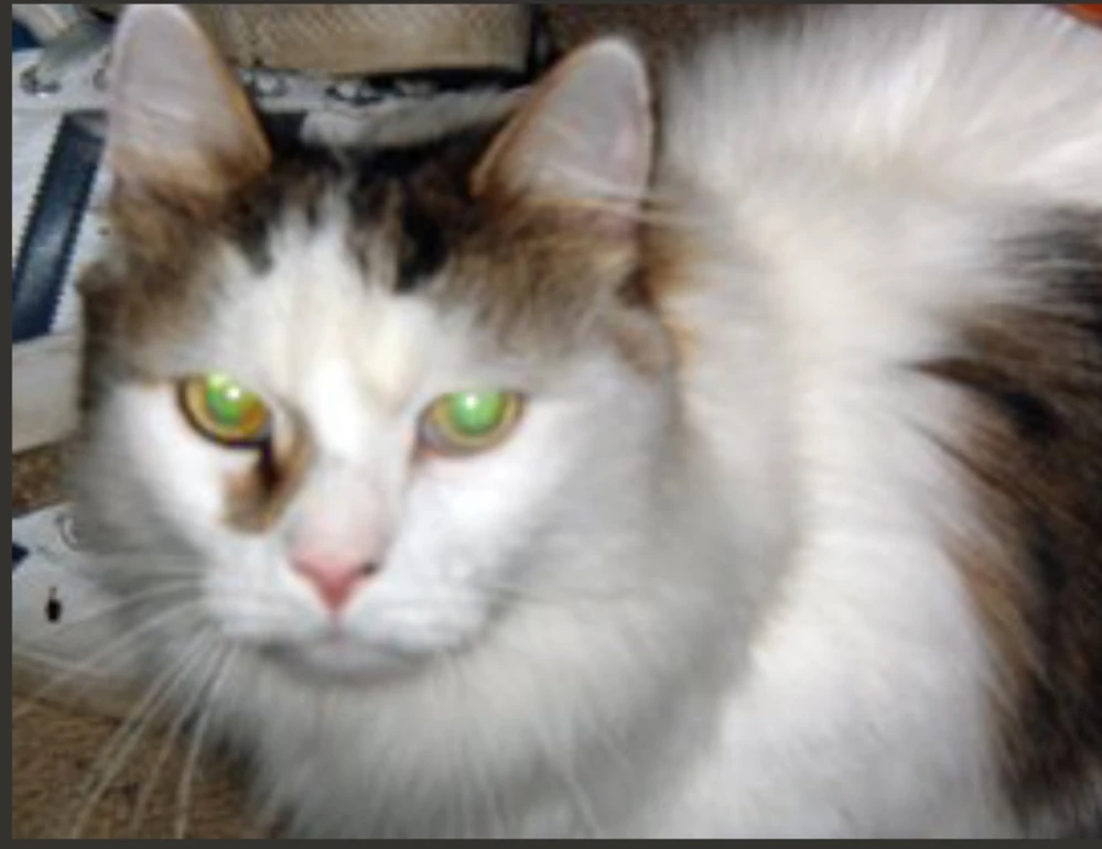 Image uploaded by Andie