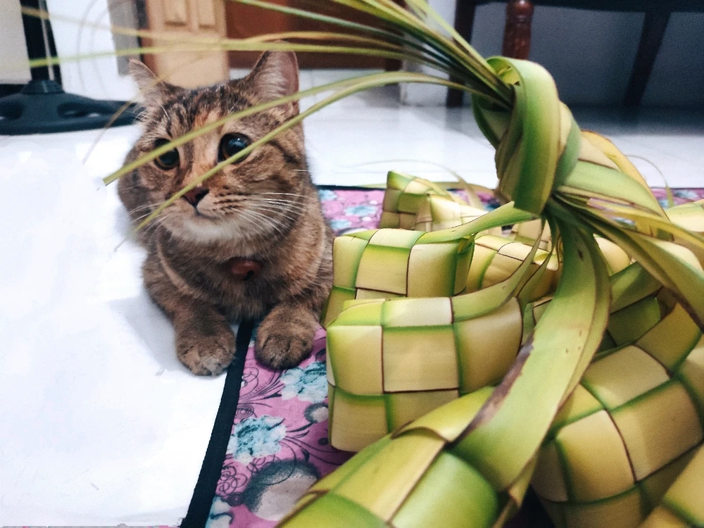 Image uploaded by ꨄ𝐃ꨄ