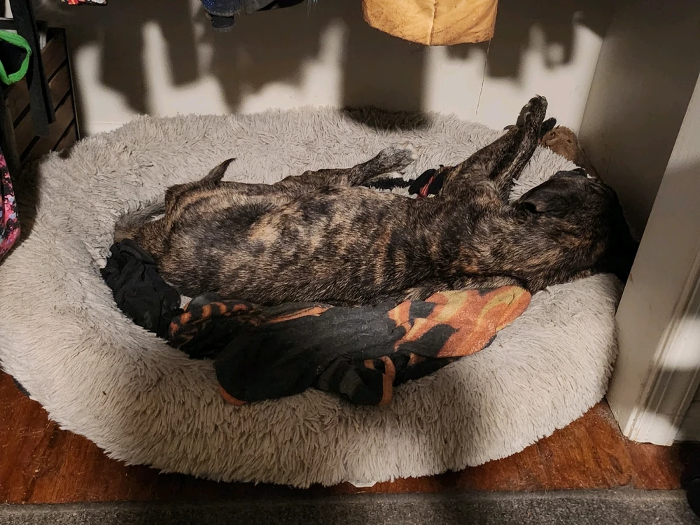 Image uploaded by Denise 🏳️‍🌈