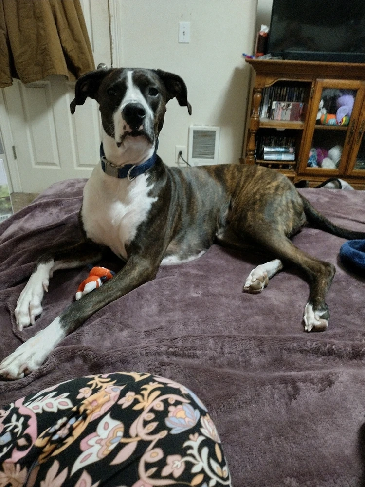 Image uploaded by Jessica