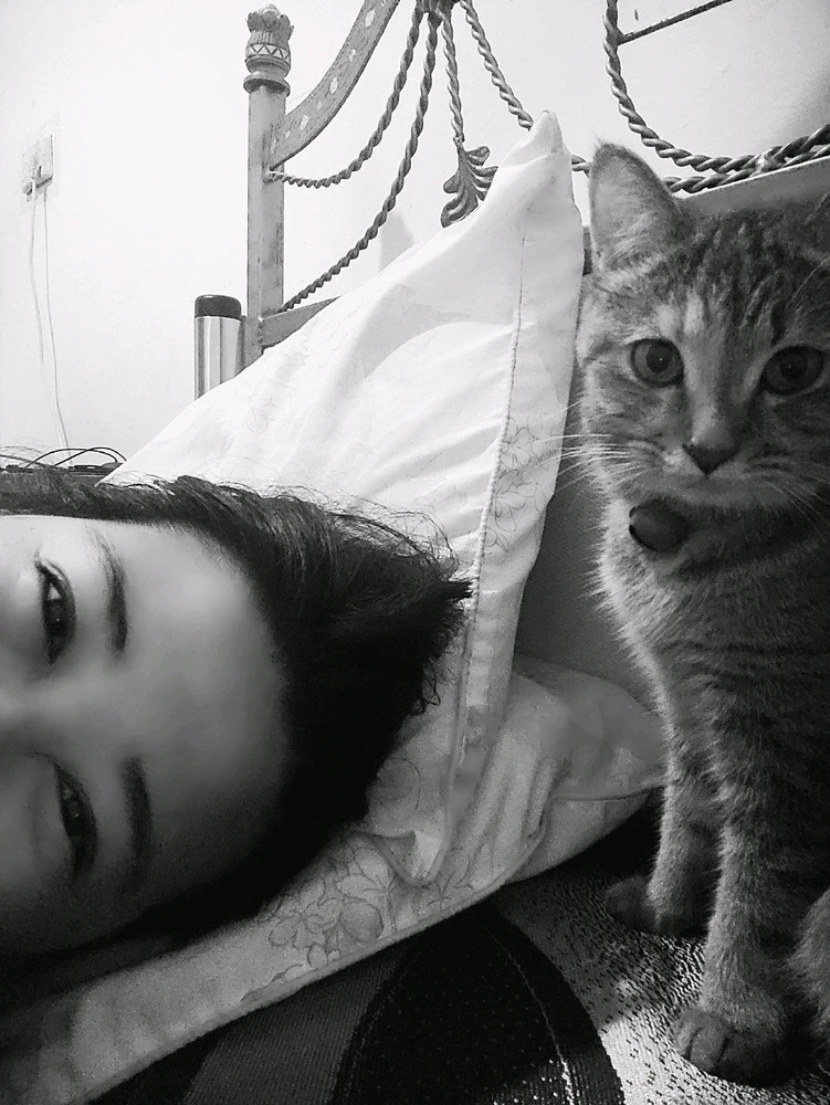 Image uploaded by ꨄ𝐃ꨄ