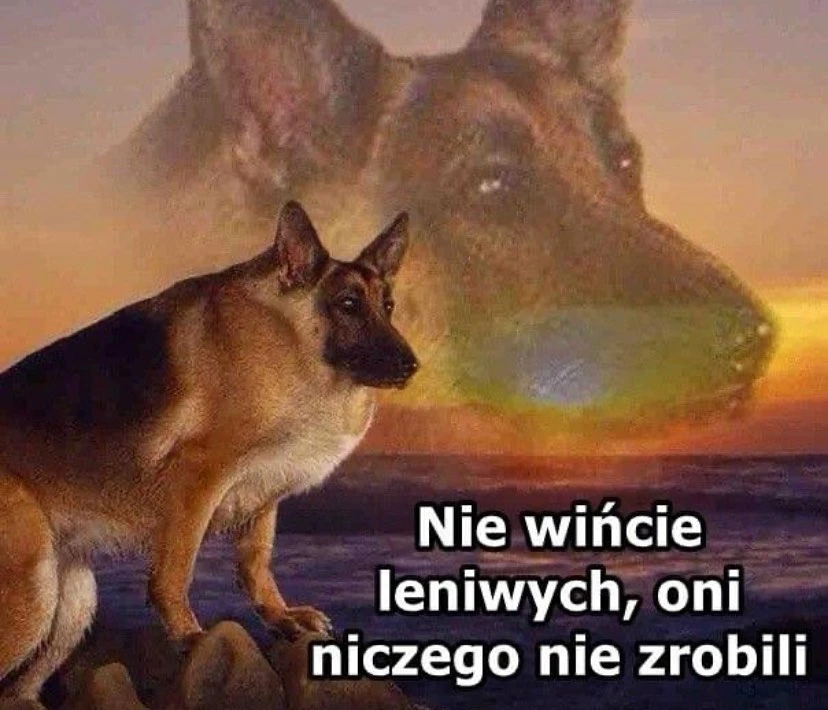 Zdjęcie dodane przez Bartek