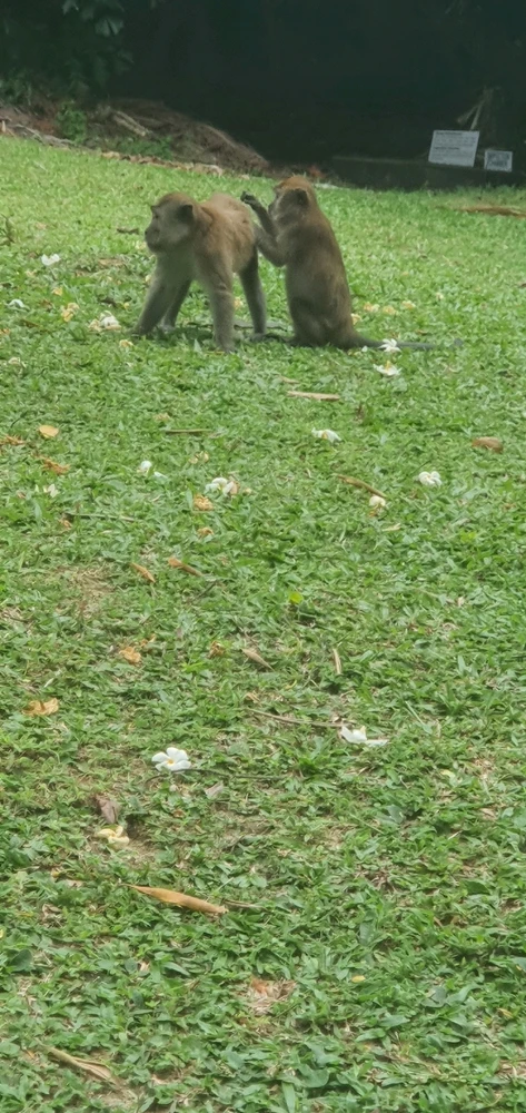 Image uploaded by Elaine