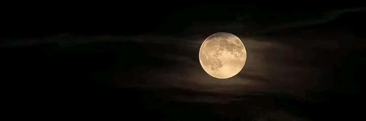 Image uploaded by яιz-αηη🖤❤