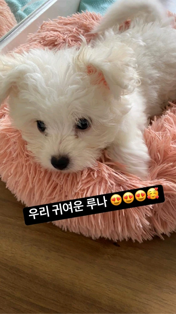 Image uploaded by Jei Anne