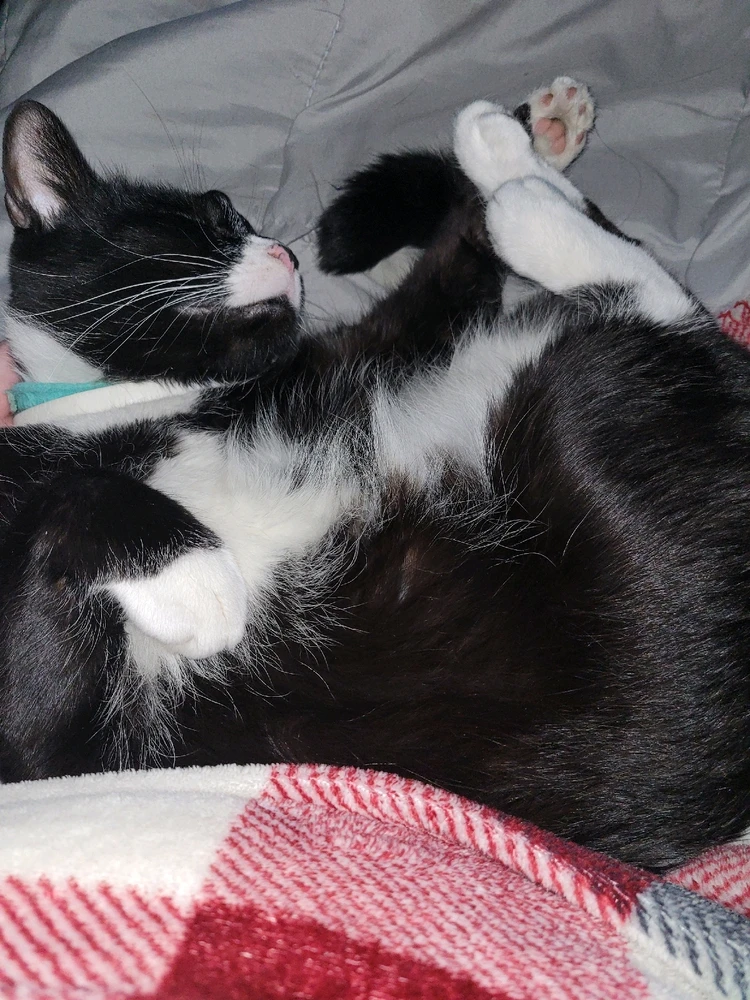 Image uploaded by Todd