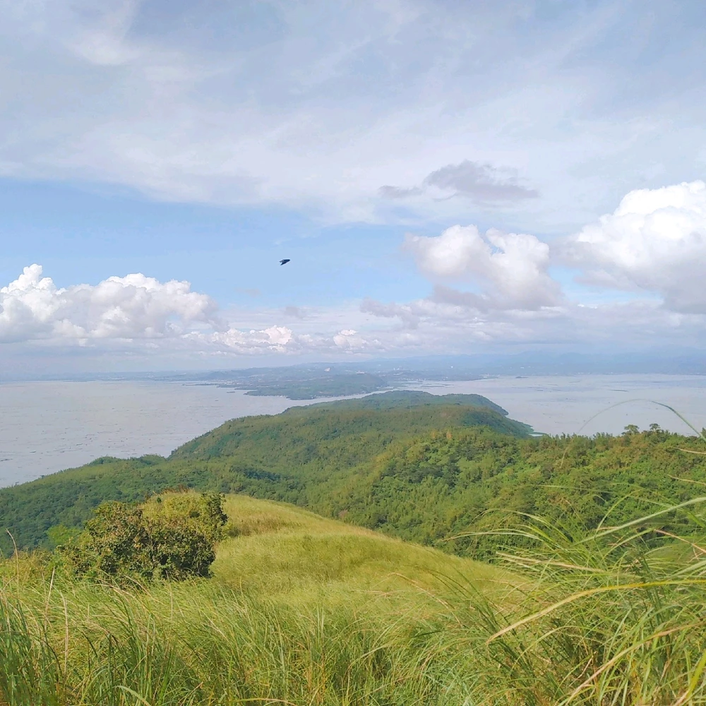 I-upload ni Cha ang larawan