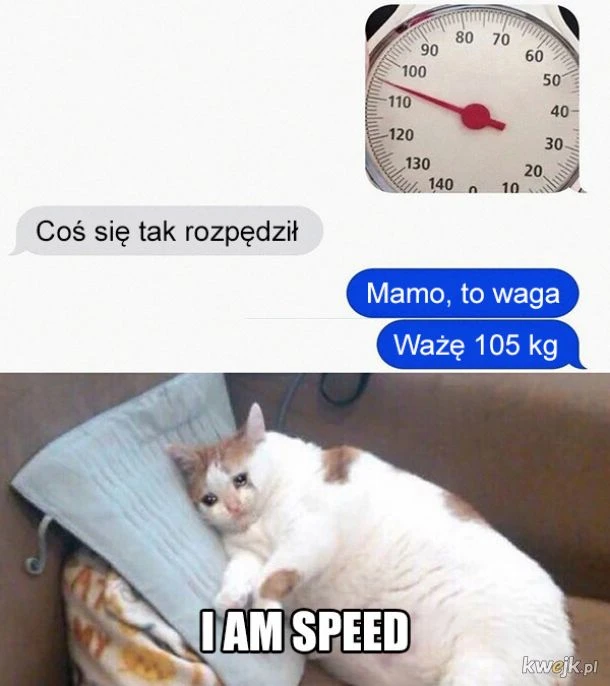 Zdjęcie dodane przez Bartek