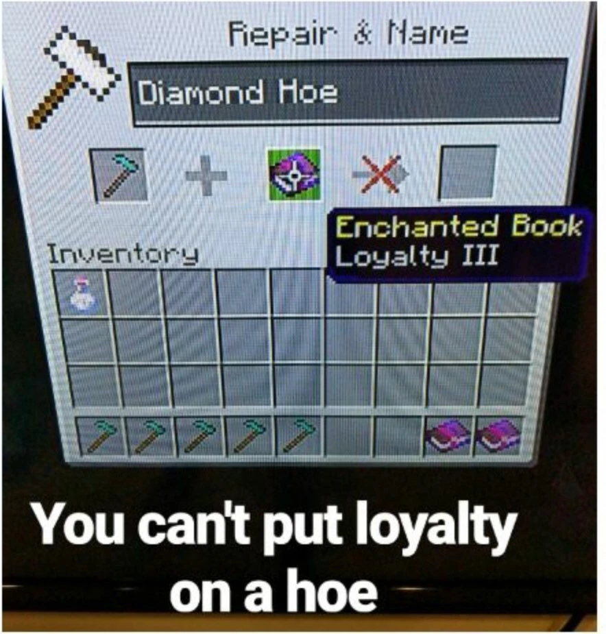 Imagem enviada por Victor