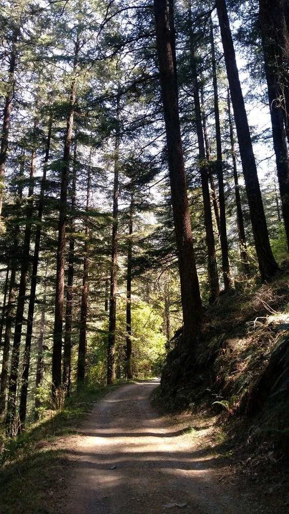 Image uploaded by Ayush