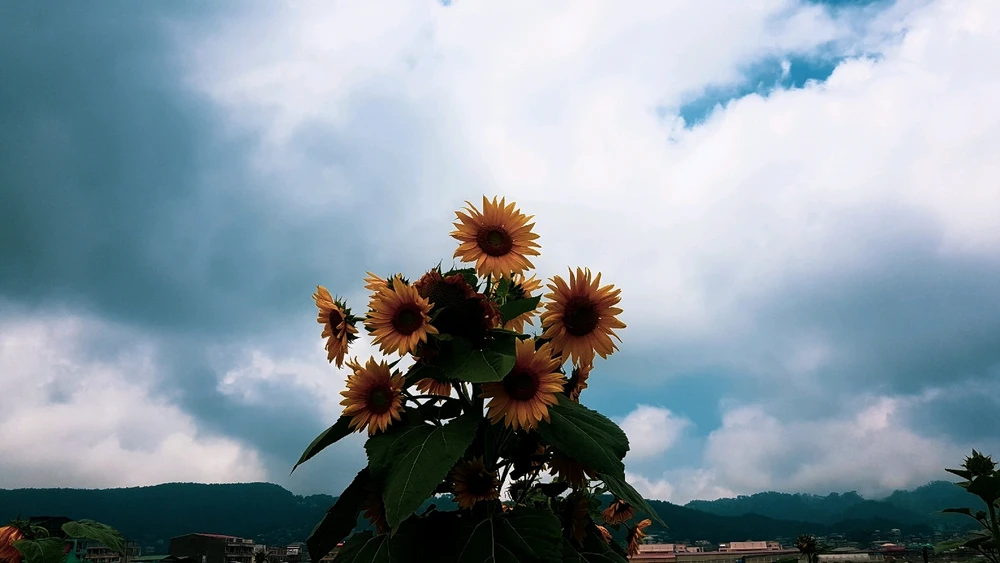 Image uploaded by Renj