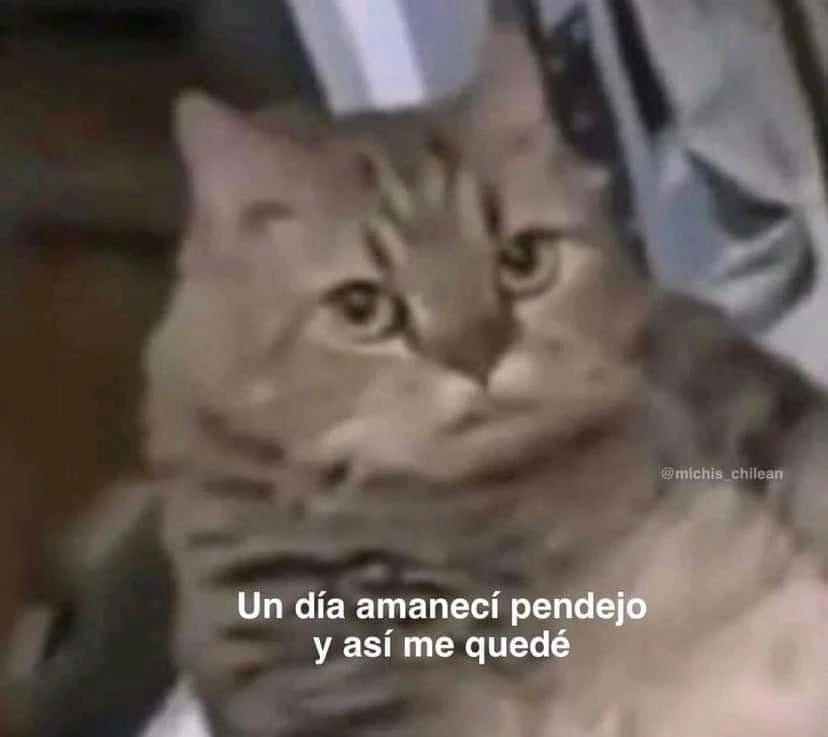 ¿Cuánto es lo máximo que han durado solter@s?