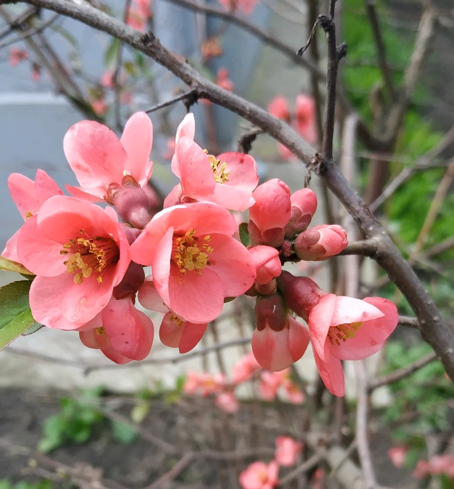 Зображення завантажив Дмитро