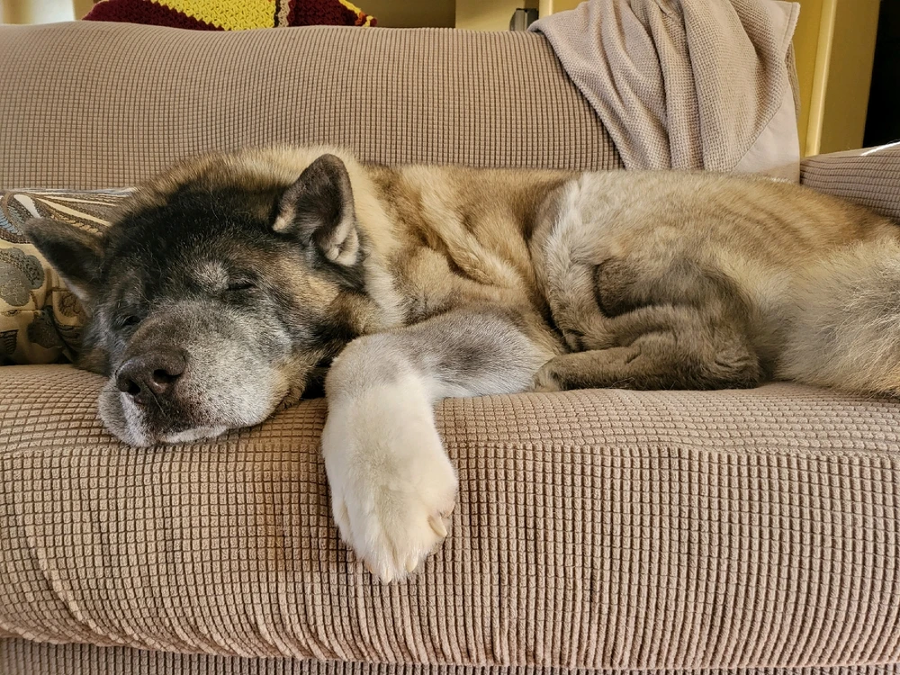 Image uploaded by Dan