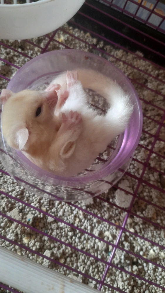 Image uploaded by Bella