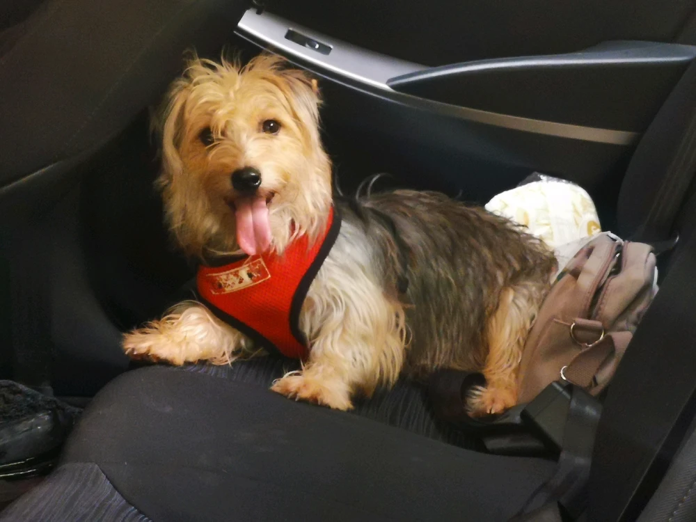 Image uploaded by Lexy