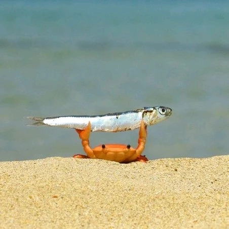 Image uploaded by Necati