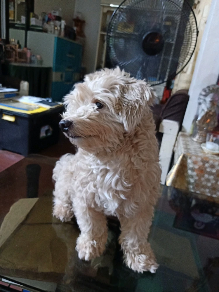 Image uploaded by Kristine