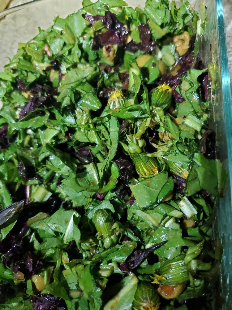 Dandelion Greens.