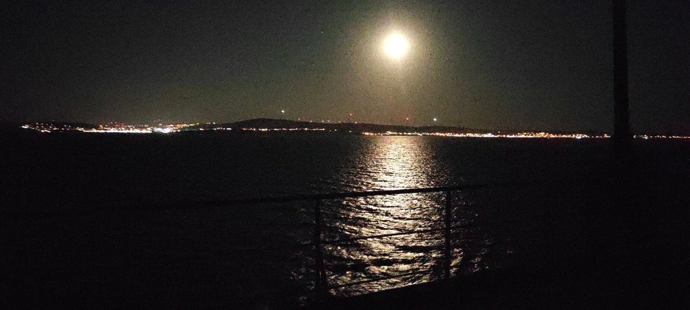 Image uploaded by Gisa