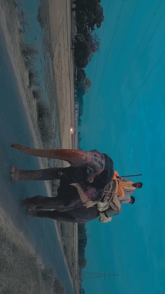 Image uploaded by Imroj Ali