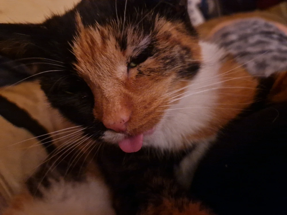 Image uploaded by Jessica