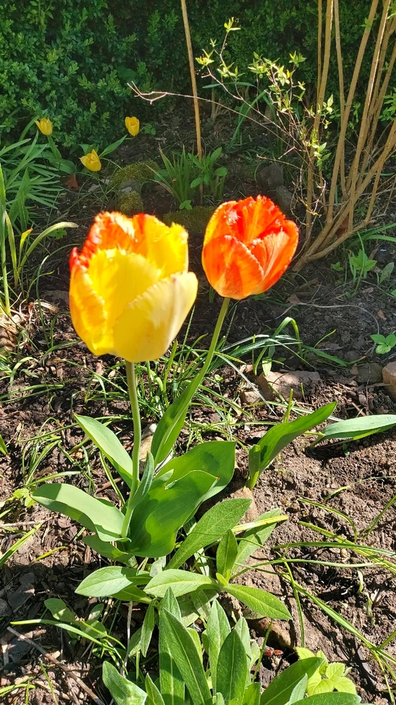 Bild hochgeladen von Benny