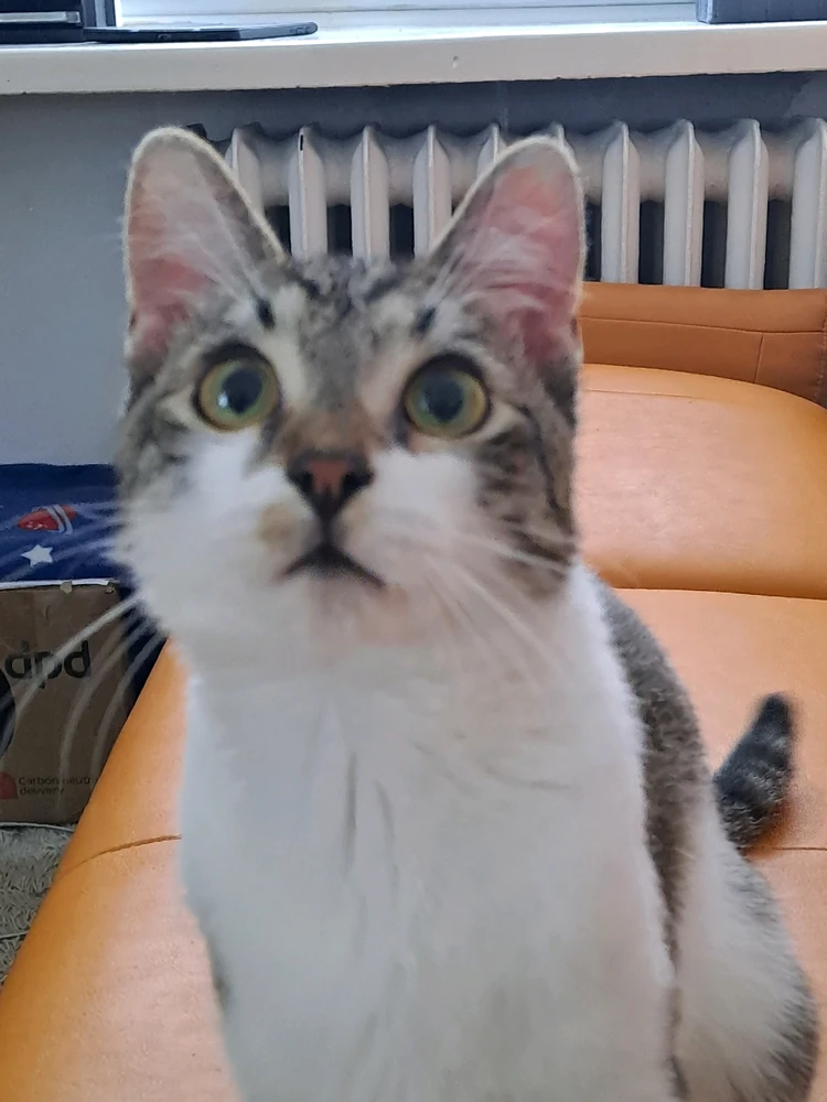 Íomhá uaslódáilte ag Paulina