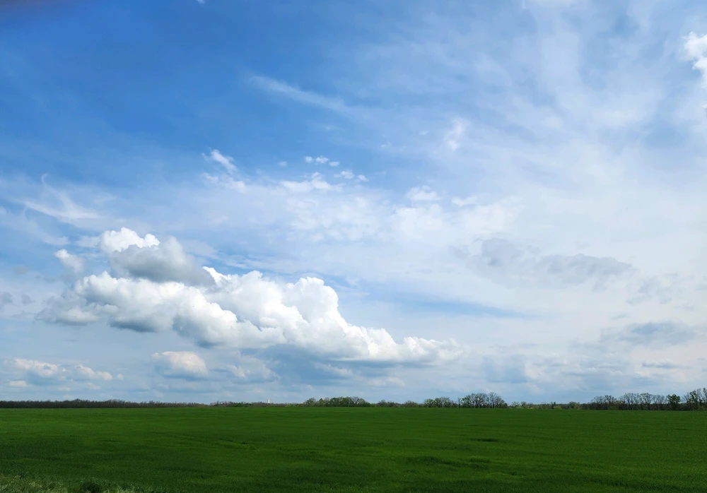 Фото загрузил Дарья