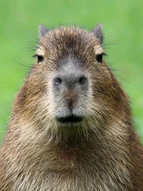 Imagem enviada por Abner