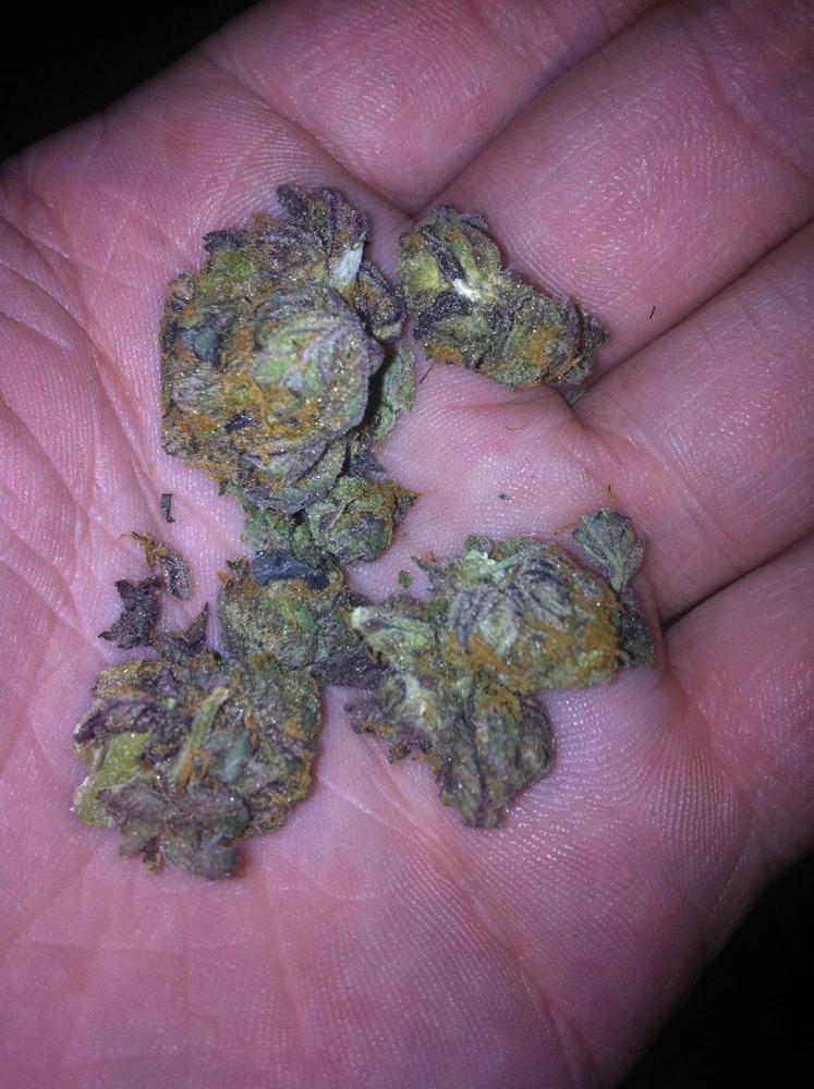 Image uploaded by Brian