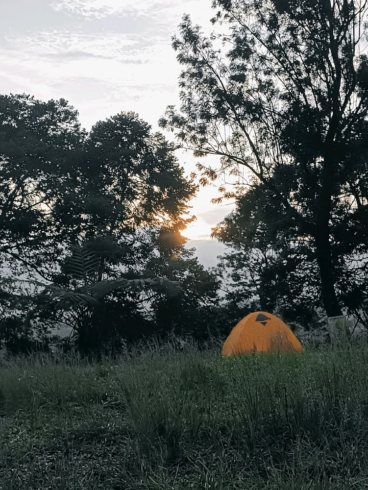 Gambar diunggah oleh Iki