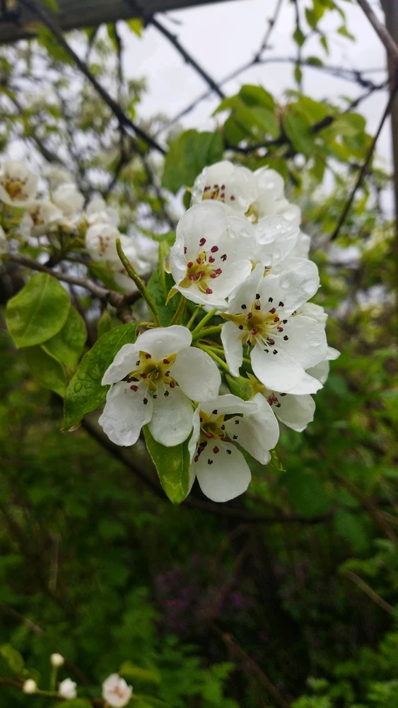 Зображення завантажив Sasha