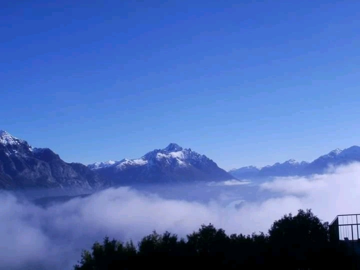 Image uploaded by Lu