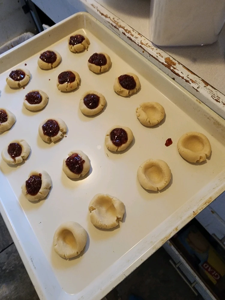 Image uploaded by Moss