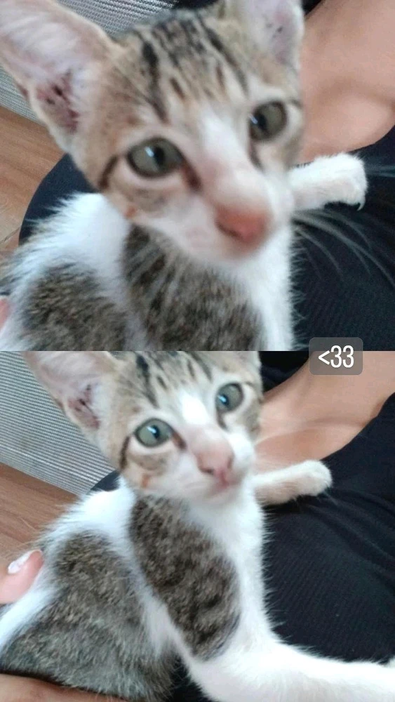 Image uploaded by Kath