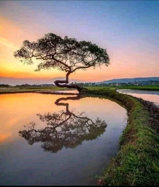 Gambar diunggah oleh Islam ulya rohmat abadi