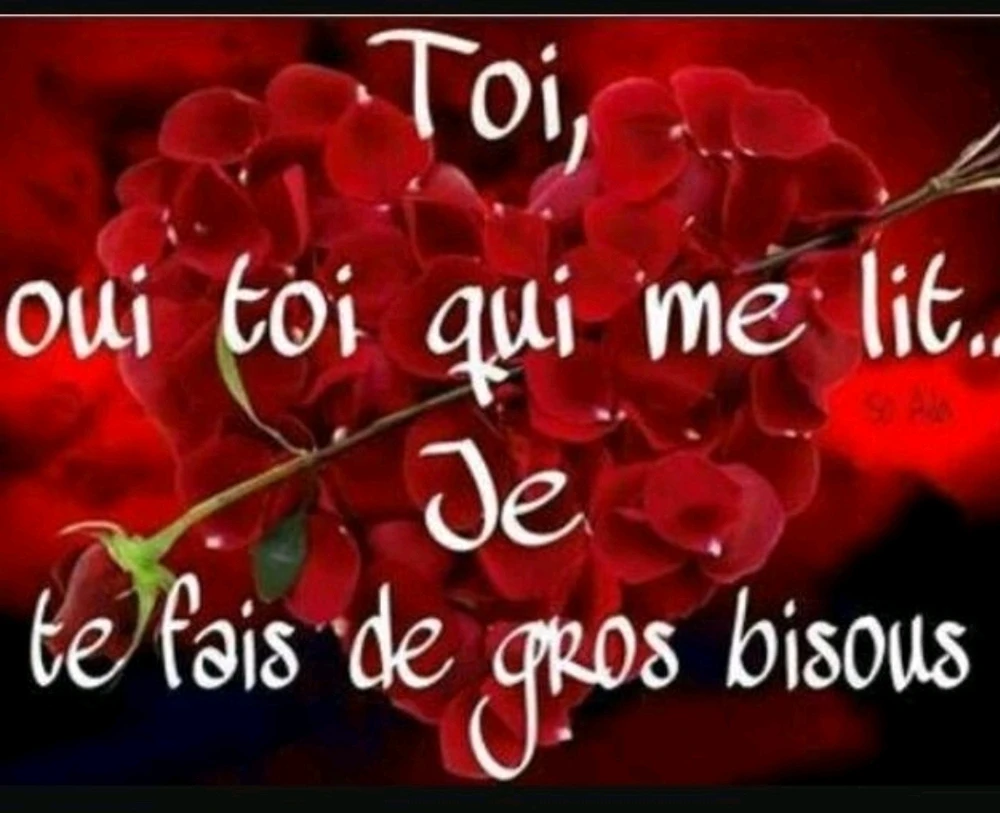 Image ajoutée par SENEGAS