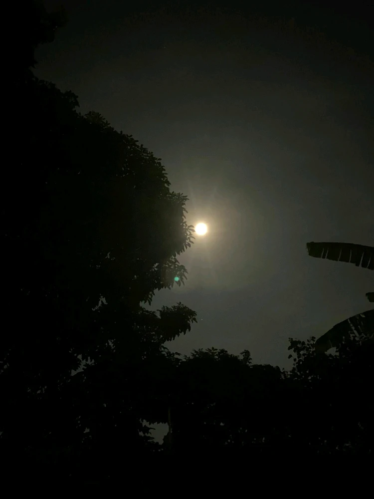 Image uploaded by Victor