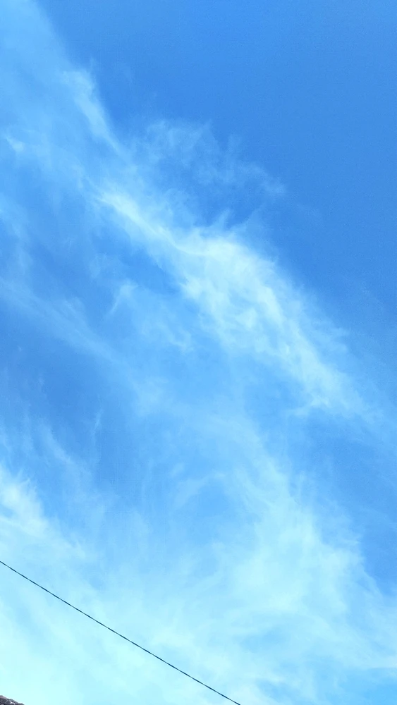 Image uploaded by Aozora