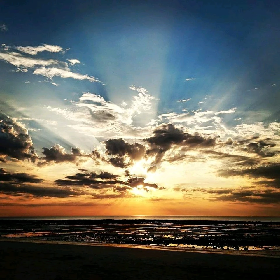 Image uploaded by Papillon