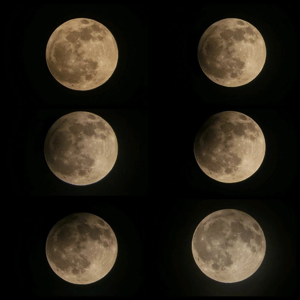 Image uploaded by T