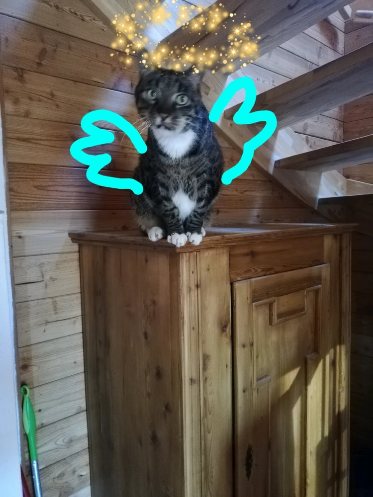 LINda tarapyndan ýüklenen surat