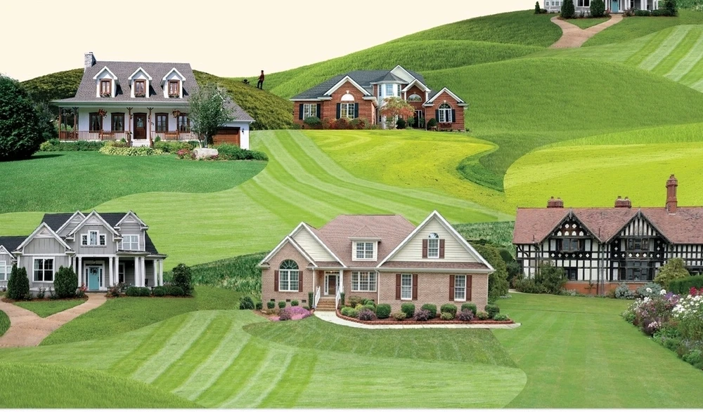 Image uploaded by Eris