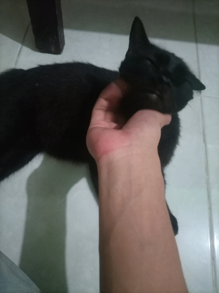 I-upload ni Derry ang larawan