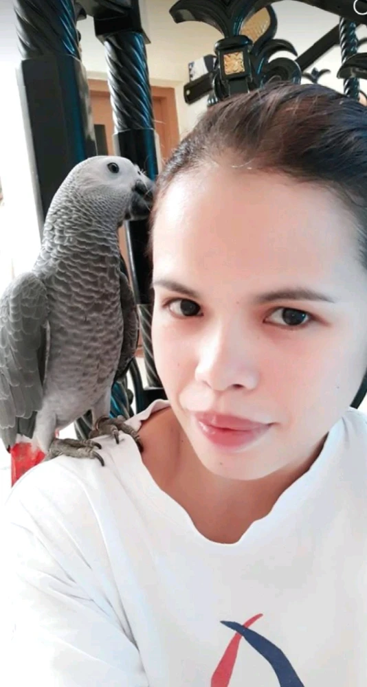 I-upload ni Jovie Tizon ang larawan