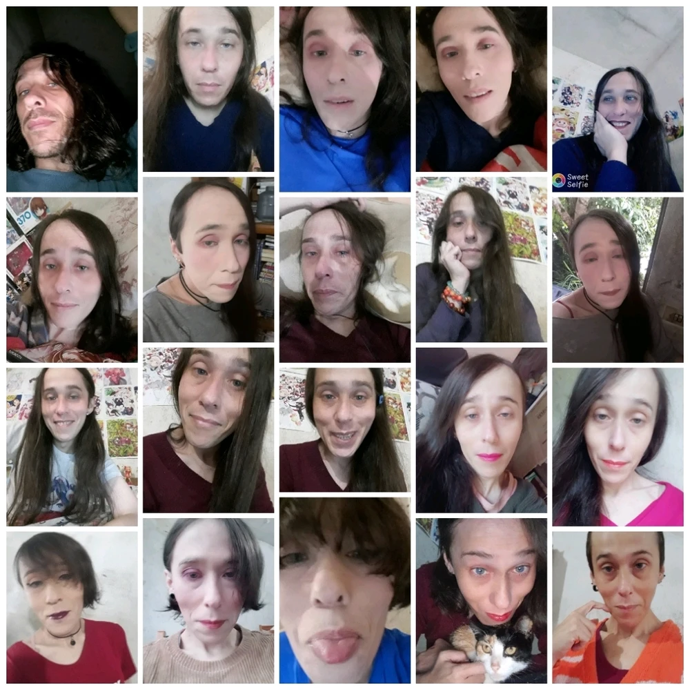 Imagem enviada por Jasmim ou Mim