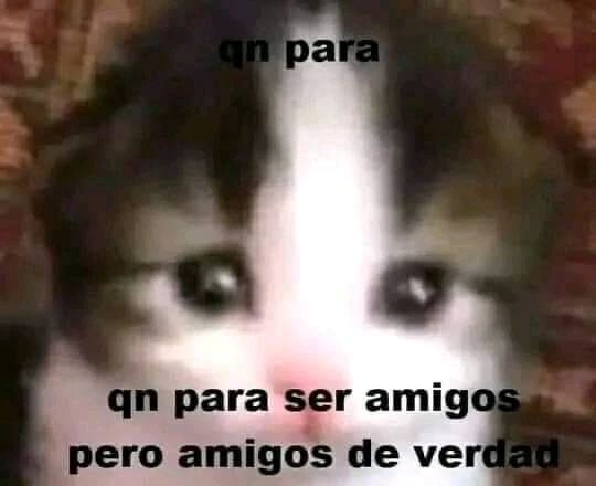 Imagen subida por Jessi