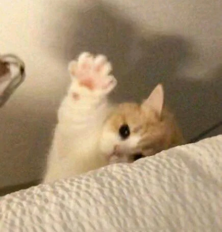 ダニエルがアップロードした画像