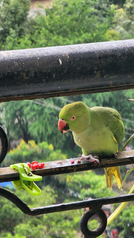 Image uploaded by ॐकार